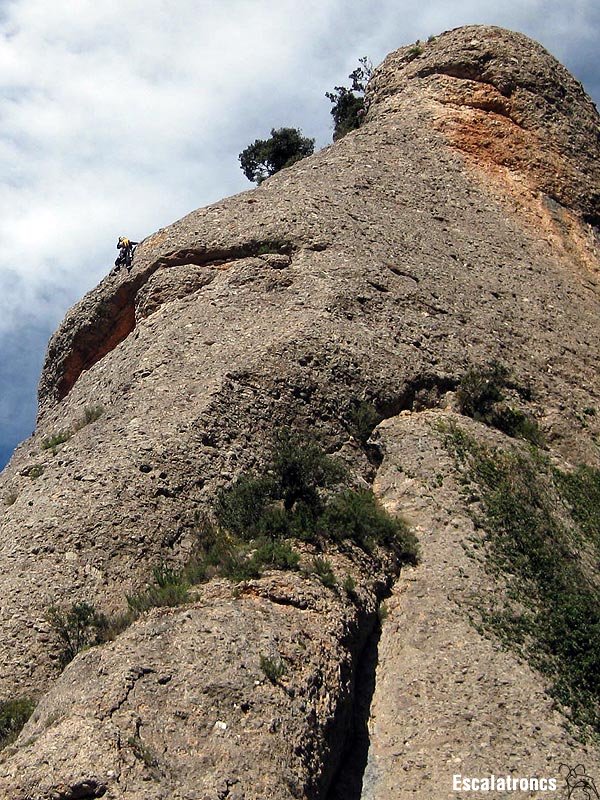 La Paula un cop superat el pas clau del L3